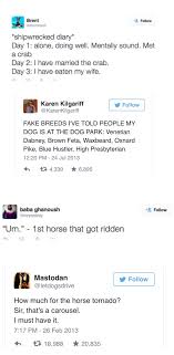 Just Gonna Leave This Here Funny Tumblr Funny Funny Tumblr Posts