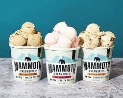 Looking for diabetic desserts that everyone will love? Diabetic Conscious Frozen Desserts Frozen Custards Idea Huntr