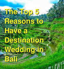 Berikut beberapa rekomendasi spot foto yang menarik di malang hari. Having A Destination Wedding In Bali Budget Your Trip