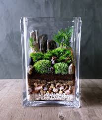 Simple Jardin Paysage Terrarium Cube Solution Jardin Urbain Appartement Micro Garden Easy Garden Garden Terrarium