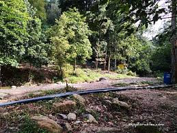 480 x 360 jpeg 27 кб. Berkelah Di Hutan Lipur Gunung Pulai Johor