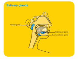 Head And Neck Cancers Overview Cancer Council Victoria