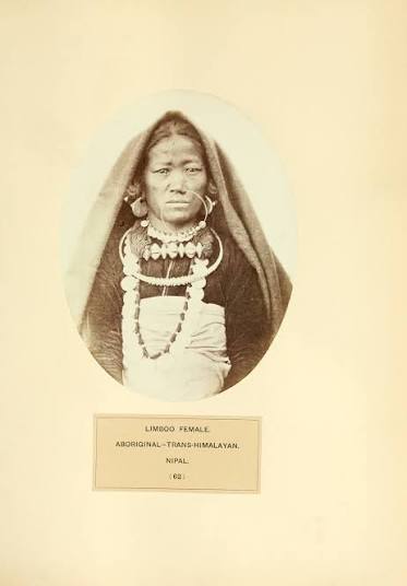 File:The People of India — a series of photographic illustrations, with descriptive letterpress, of the races and tribes of Hindustan Vol 2.djvu-31.png - Wikisource, the free online library