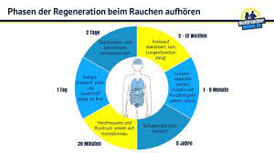 Rauchentwohnung Phasen I Nichtraucherhelden