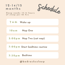 The Twelve-Month Regression: Why Sleep Goes Crazy and How-to Cope —  Stephanie Fischer