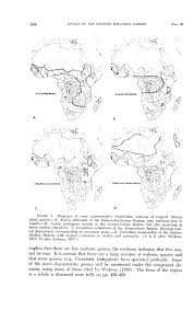 Image result for Anthospermum whyteanum