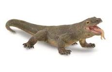 Amazon.com: Collecta - Dragón de Komodo : Juguetes y Juegos