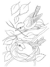 Advertisement not only does this recipe make for a yummy desert, it's a really pretty place setting that just screams. Online Coloring Pages Birds Coloring The Birds Build A Nest Animals