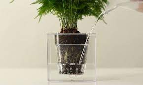 繼歪腰花盆之後 自動喝水立方體乎你看透透 大人物 89511 self watering planter planters self watering pots