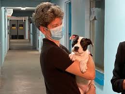 We did not find results for: Spca Tampa Bay Receives 30 Homeless Dogs From Louisiana Spca Spca Tampa Bay