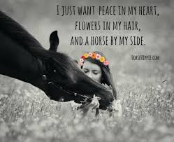 I want some flowers meme. I Don T Want Impossible Things I M Happy With Some Peace Some Flowers But Most Of All With My Horses B Horse Riding Quotes Inspirational Horse Quotes Horses