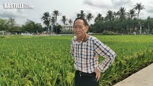 ⇒ 杂交水稻 (zájiāo shuǐdào) rice hybrid. 9obuvbq9npjsm