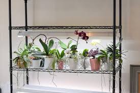 We did not find results for: Growing Orchids Under Led Lights Make Your Orchids Rebloom
