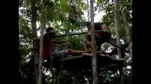 Share,like,subscribe and enjoy guys ig :arfnzn (teamreefzgaming) trg_arfnzn trg_leo trg_error00 trg_dans trg_4domz trg_irpgl trg_ghostboy atas ni. Lepak2 Rumah Atas Pokok Youtube