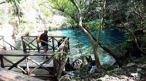 Book hotels near dominican republic today! Punta Cana Blue Lagoon Segway Eco Tour Dominican Republic Youtube