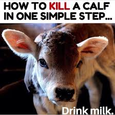 Pin On Why Vegan