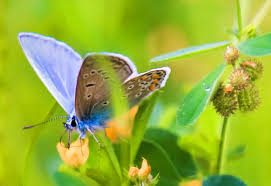 Responsable de estrategia de inversión para clientes particulares. Inicio Deutsche Bank