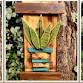 Modern Botanicals: Wooden Snake Plant Workshop event in New Cumberland, PA