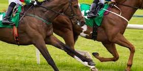 USAVE Utility Contracts Raceday