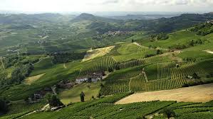 Piedmont Wine Region Italy Winetourism
