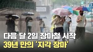 스크랩 기타장마철 구원 받을 아이템 딱 하나만 고르기. 12uefeitip66dm