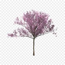 Populer 32 gambar kartun bunga sakura. Baum Cherry Blossom Twig Zweig Bunga Sakura Png Herunterladen 900 900 Kostenlos Transparent Rosa Png Herunterladen