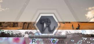 Check spelling or type a new query. Reeflex Com Posts Facebook