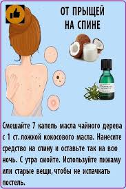 как избавиться от прыщей на спине в домашних условиях Pryshi Na Spine In 2020 Beauty Makeup Beauty Makeup