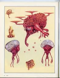 The Horrors Of Evolution The 10 Freakiest Animals Of Speculative Biology Evolution Art Creature Concept Art Fantasy Creatures