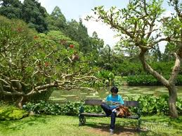 Download now 200 cm 150 cm 6 5ft 5ft latar belakang indah taman. Taman Bunga Nusantara Di Jawa Barat Seperti Di Eropa