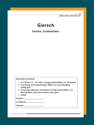 Für kleinere kinder (pflanzenname, fundort, datum) und für ältere kinder und. Herbarium