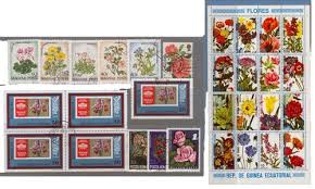 Image result for Pavetta rwandensis