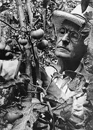 Hesse While Taking Care Of Tomatoes In His Garden Hermann Hesse Famous Authors Hesse