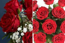 Customers have reviewed marks & spencer positively for providing great bargains. Marks And Spencer Crowned Cheapest Place To Buy 12 Red Roses For Valentine S Day Mirror Online
