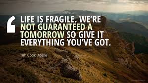 We did not find results for: Life Is Fragile We Re Not Guaranteed A Tomorrow So Give It Everything You Ve Got Tim Cook Apple Business Inspiration Quotes Quotes Quotes To Live By