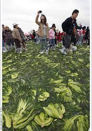 hakka pug coi festival 客家福菜節 taiwan culture taiwan white sand beach