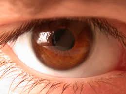 Warna ini terhasil daripada kandungan melanin yang rendah, kewujudan pigmen kuning lipochrome dan warna biru. Warna Bola Mata Pada Manusia Kaskus