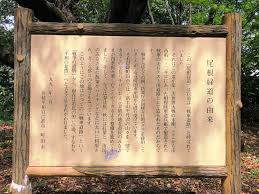 尾根 緑 道 戦車 道路