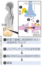 Yahoo!ニュース - News update