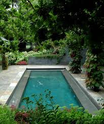 Pin By Norma On Pools Garden Pool Small Backyard Pools Pool Landscaping
