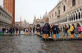 Image result for venice fl water damage experts