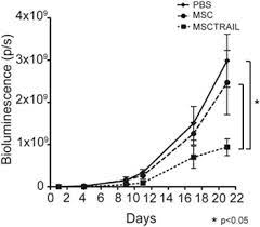 We did not find results for: Trail Expressing Mesenchymal Stem Cells As A Novel Cellular Therapy For Malignant Mesothelioma Cytotherapy