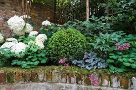 Mixed Summer Bed Hydrangea Arborescens Annabelle Buxus Sempervivens Heuchera Rave On Large Backyard Landscaping Japanese Garden Small Garden Design