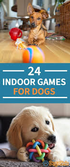 24 Fun Indoor Activities For Dogs Great For Rainy Winter Days In 2020 Dog Games Indoor Dog Activities Fun Indoor Activities