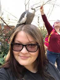 GUYS MY DREAM CAME TRUE AND I WAS CRYING HAPPY TEARS