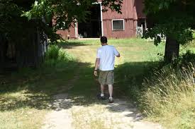 At Farmsteads they do more than grow tomatoes