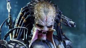 The Predator Franchise from Best to Worst! - INFLUX Magazine