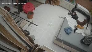 Hcm mast - video 3 - ThisVid.com