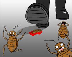 Home Remedies for Bed Bug Prevention - Bed Bugs Limited