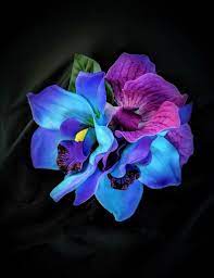 Tropical Orchid Flower Clip Orchid Flower Clips Bridal Hair Flowers Flowers In Hair